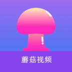 黄页网站官方版APP应用